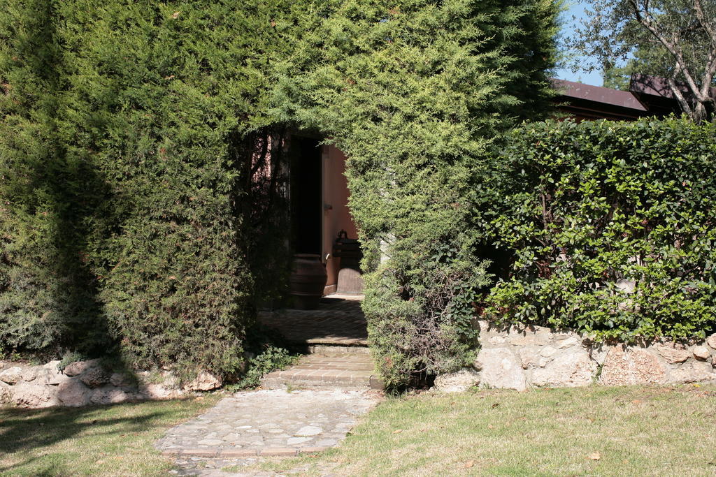 Malvarina Capodacqua (Assisi)